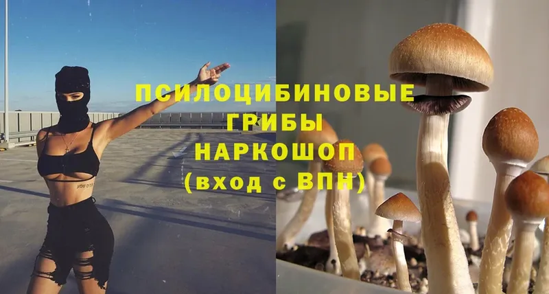 Псилоцибиновые грибы MAGIC MUSHROOMS  Заречный 